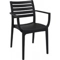 Fine-Line Artemis Outdoor Dining Arm Chair  Black - Set of 2 FI711261